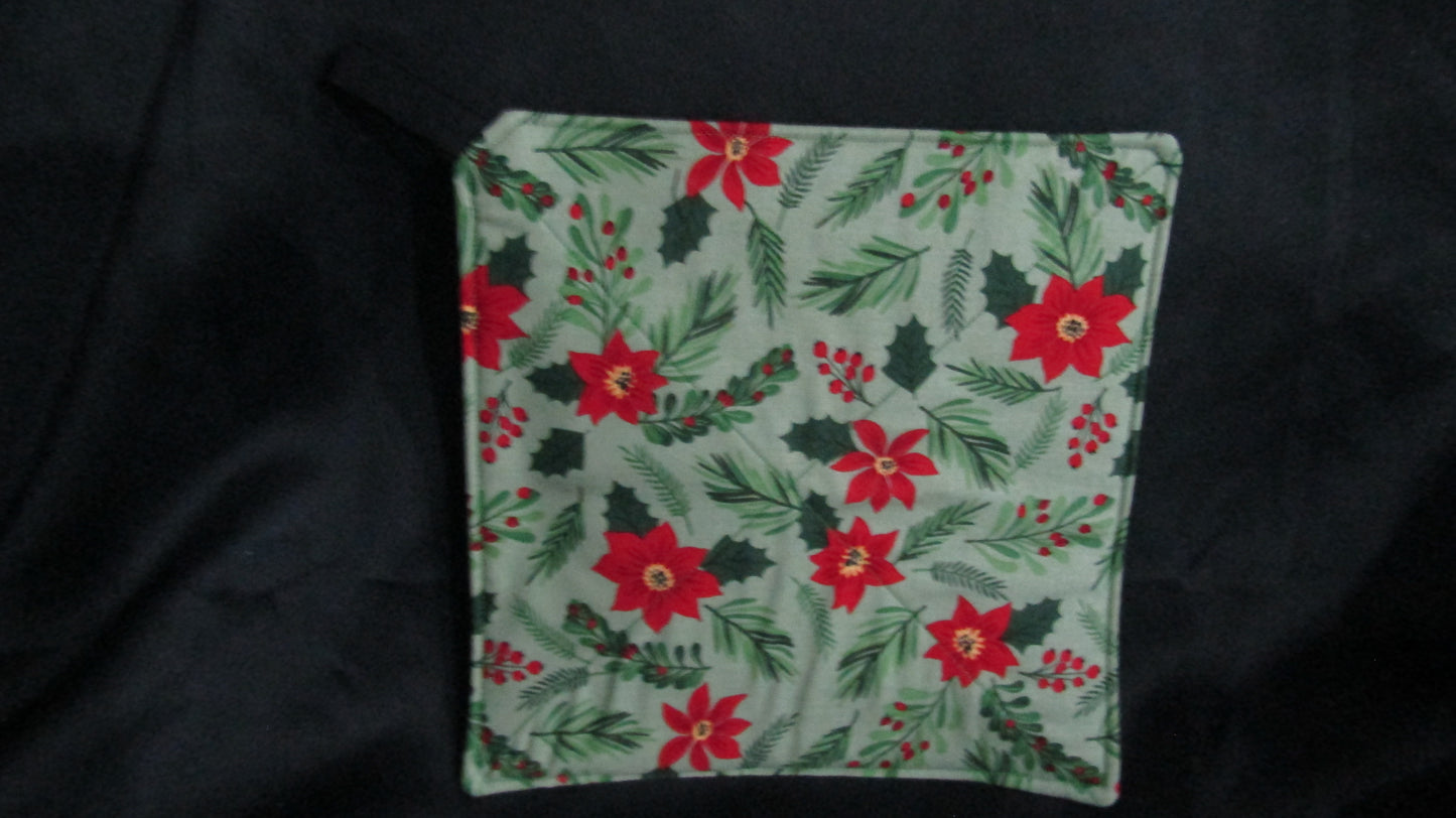 Red Poinsettia on Green