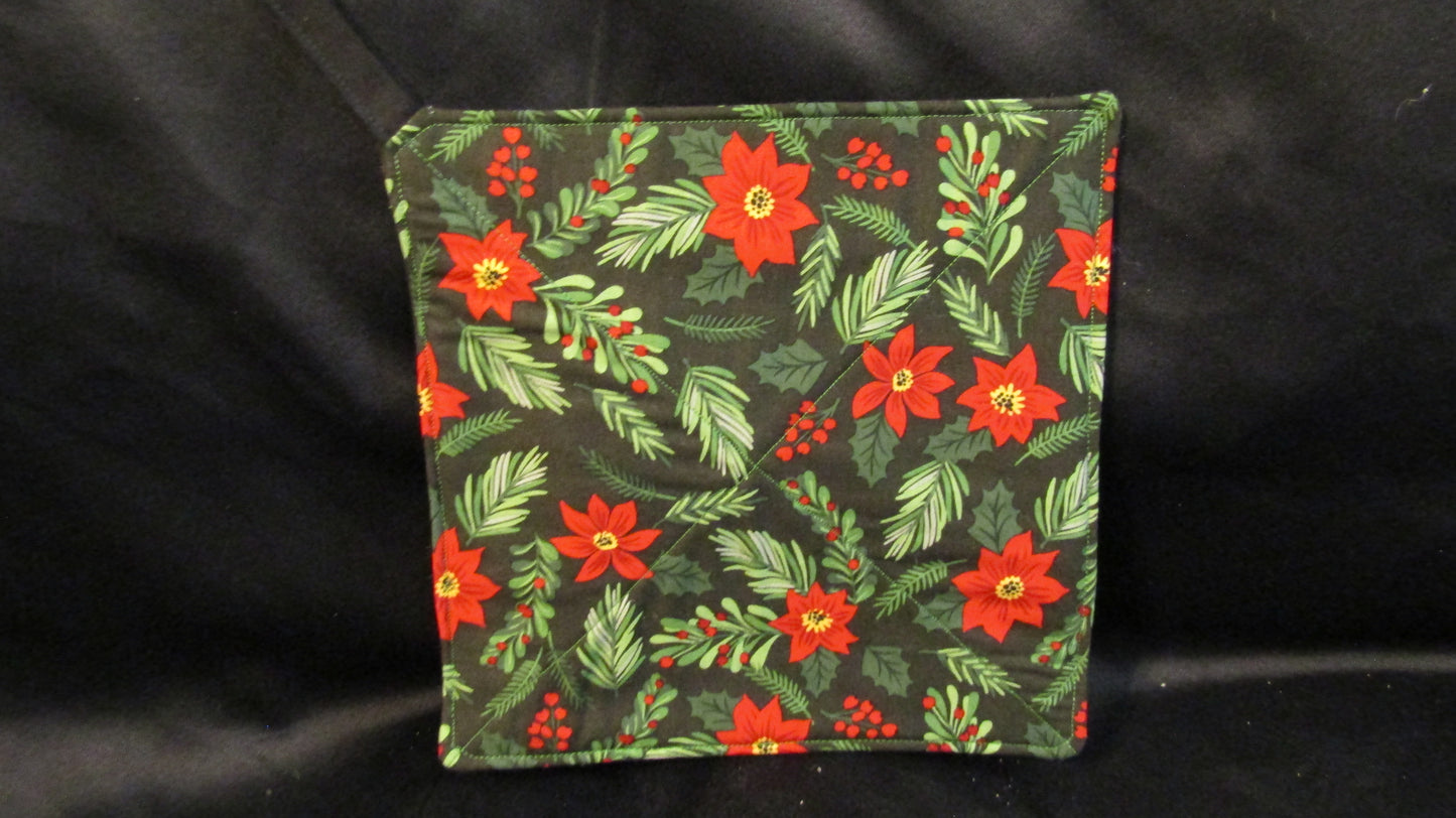 Red Poinsettia on Black