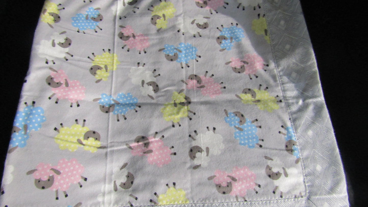 Sheep with Grey Border