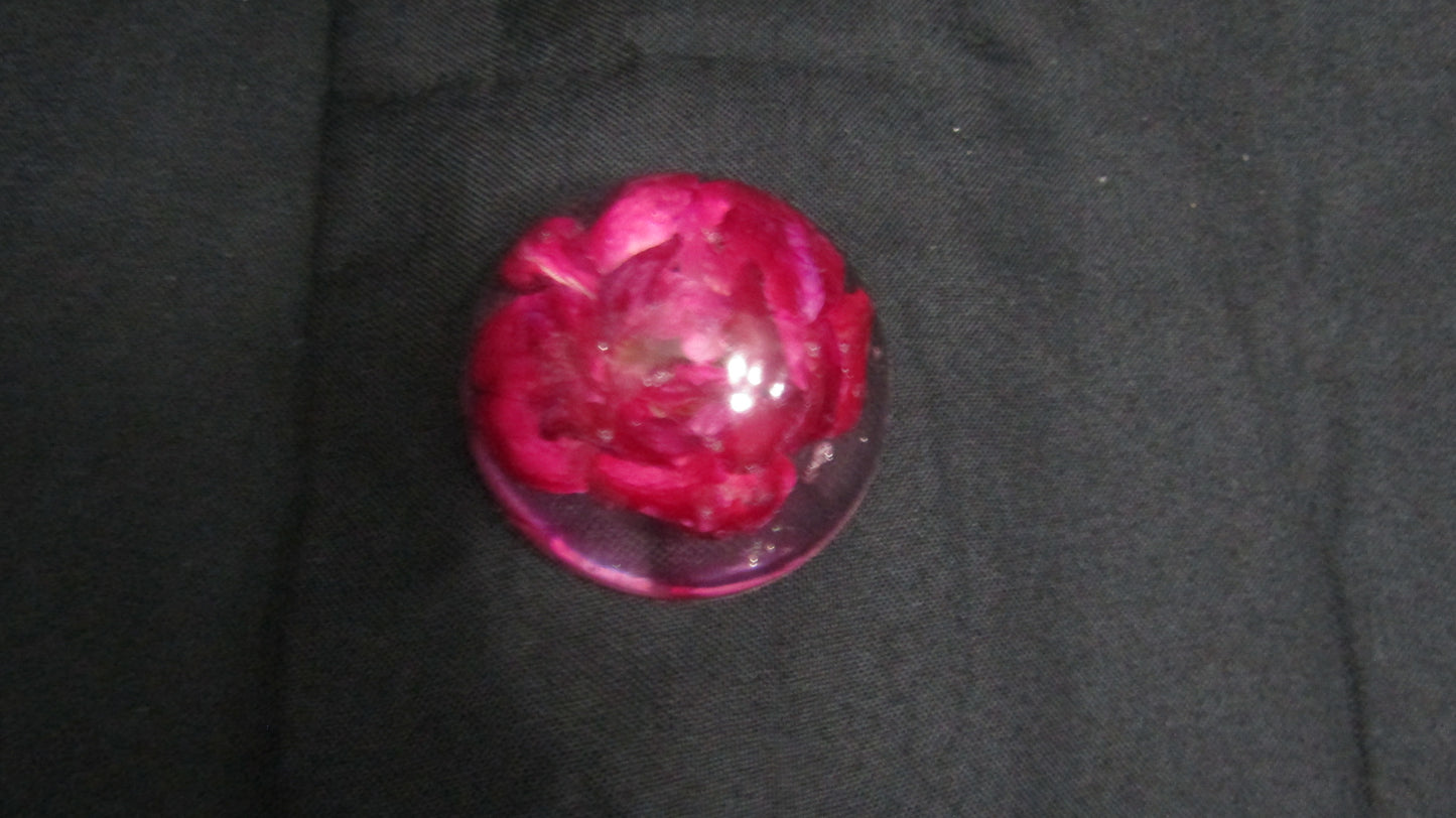 Domed Rose