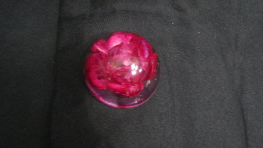 Domed Rose