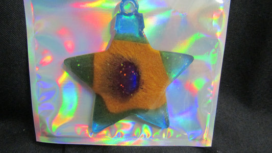 Multi-Colored Star