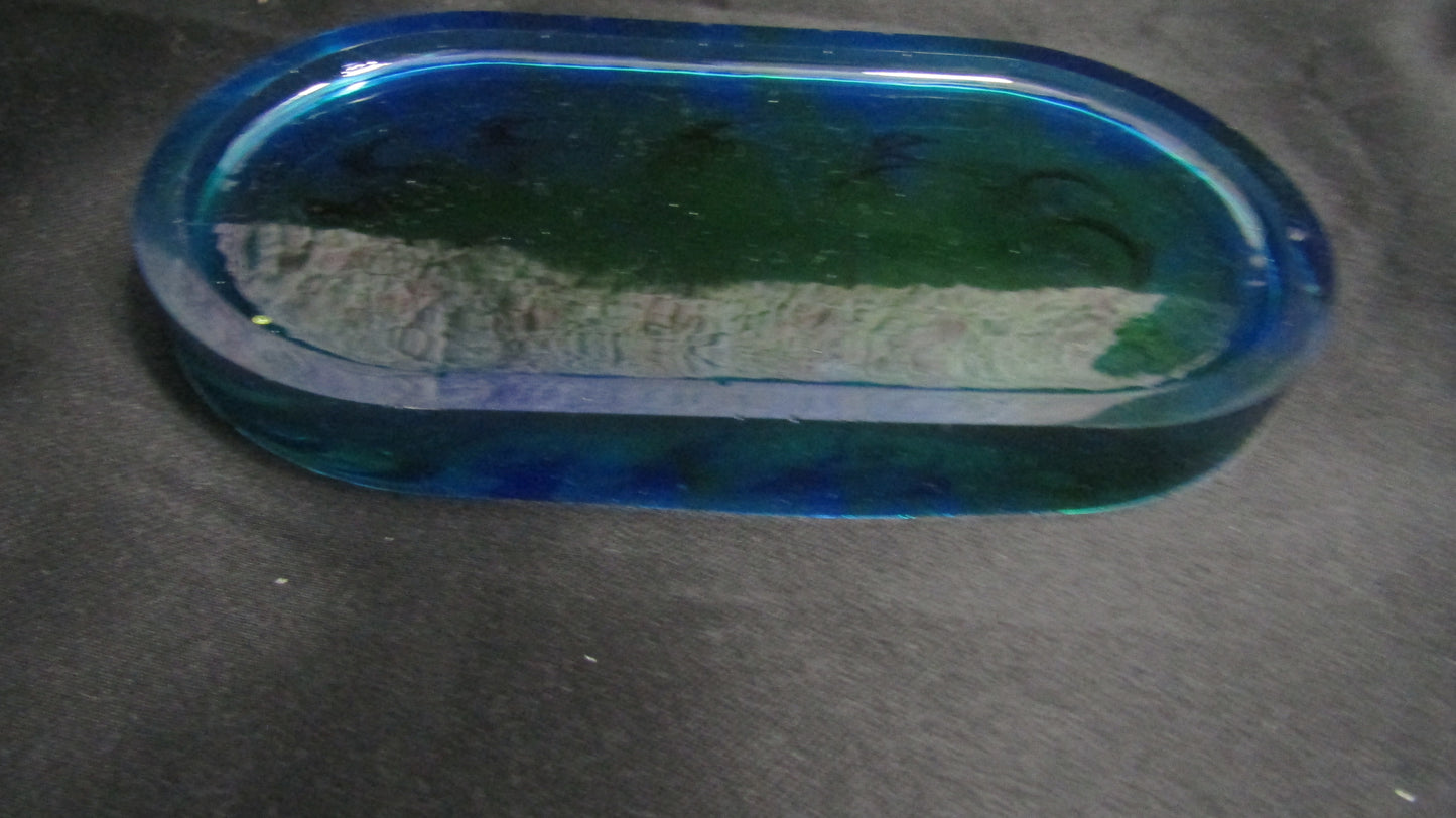 Teal Colored Tray