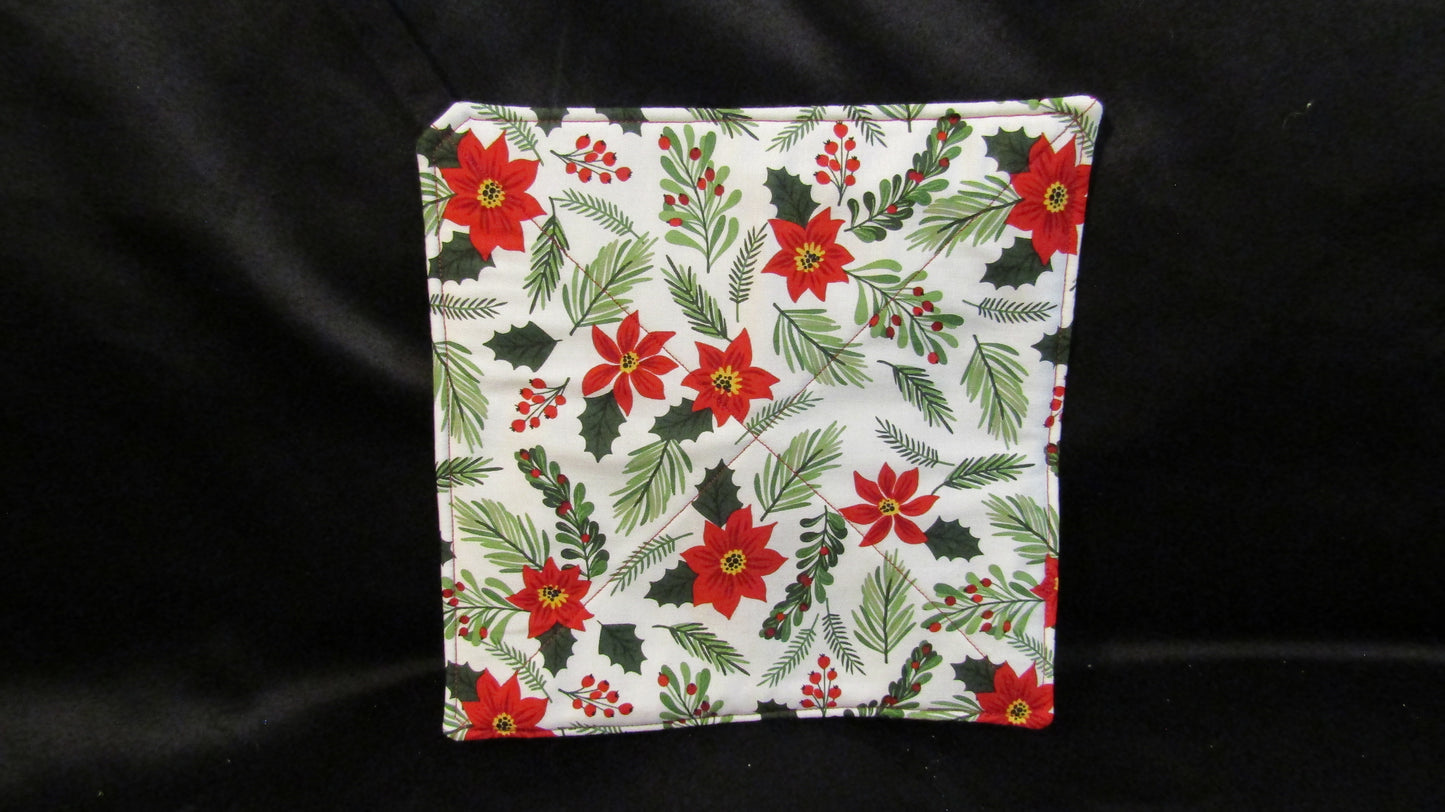 Red Poinsettia on White