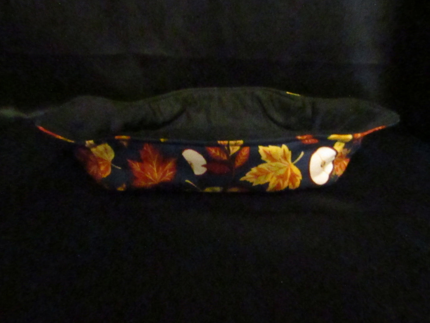 Apples 8.5x8.5