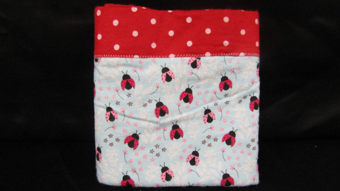 Lady Bugs with Red Border