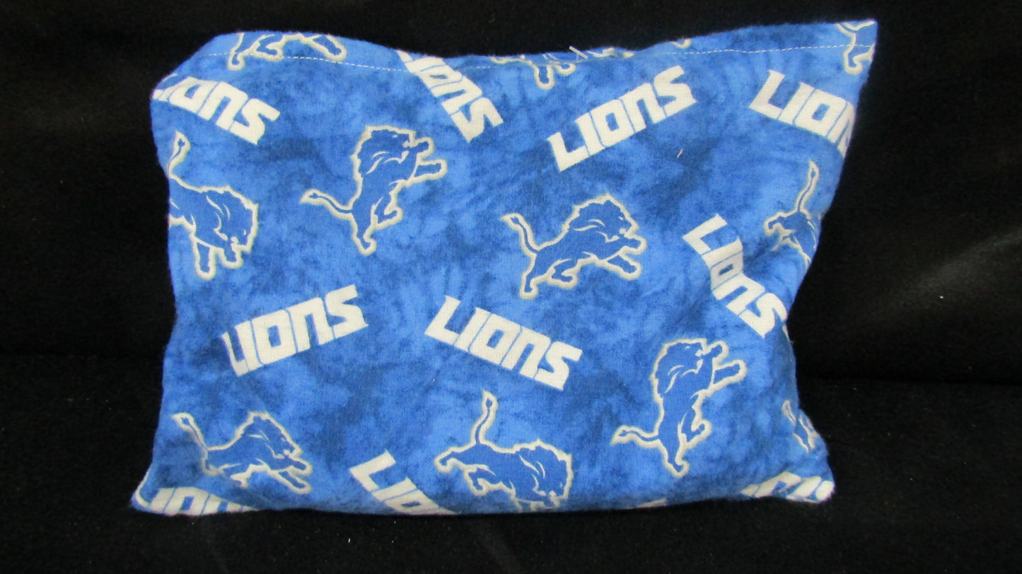 Detroit Lions