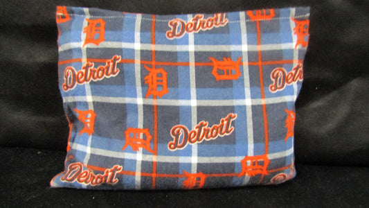 Detroit Tigers